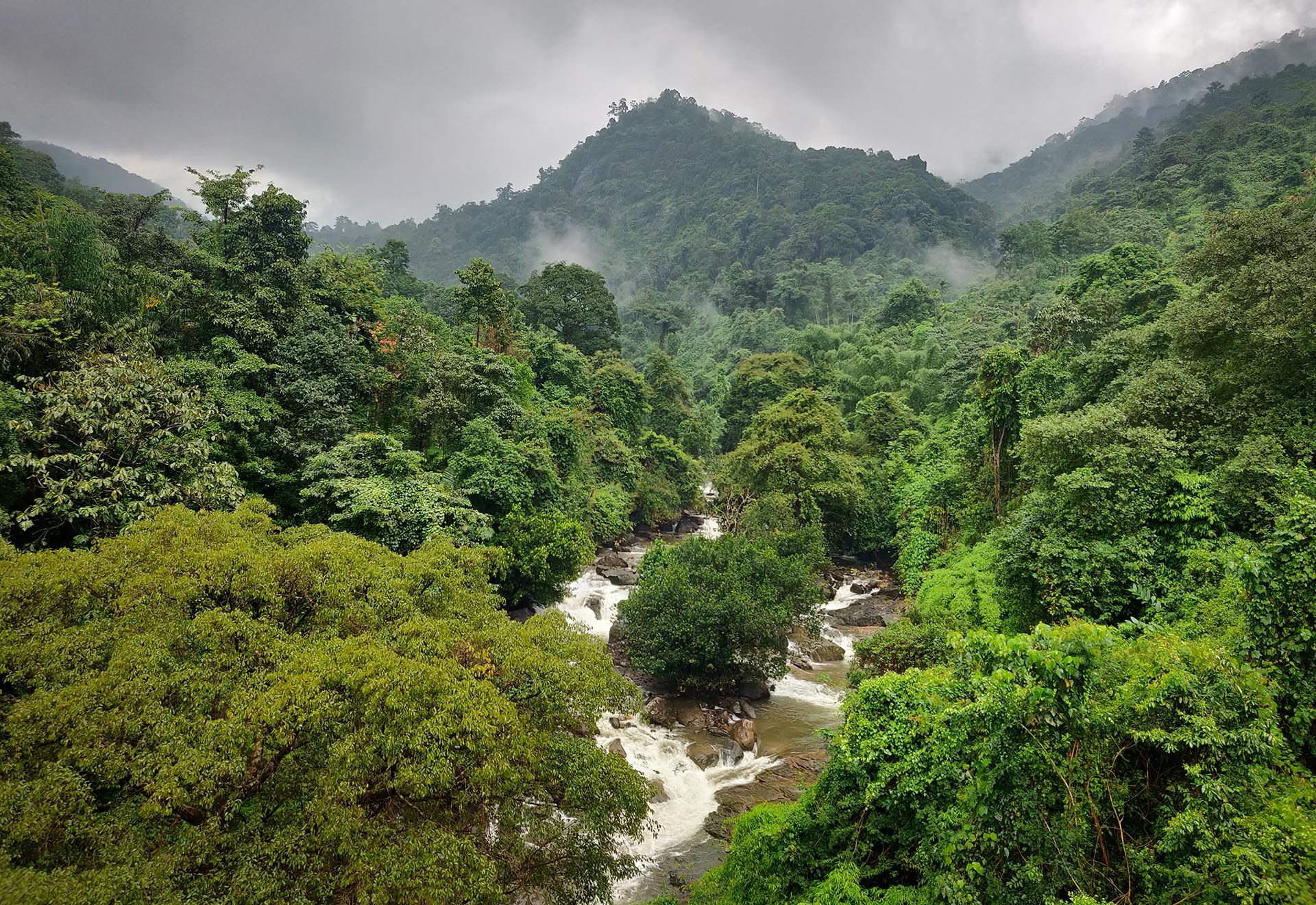 Thusharagiri Falls between dense green forest in Wayanad, Kerala, India © Shutterstock